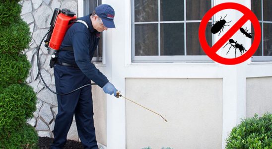 Çamlık Akrep İlaçlama böcek ilaçlama ve haşere kontrolü — ilaclama-tr.com